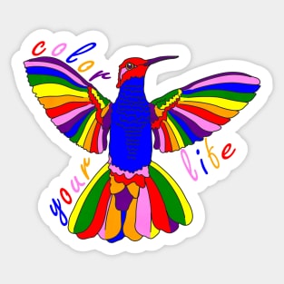 Rainbow Hummingbird Sticker